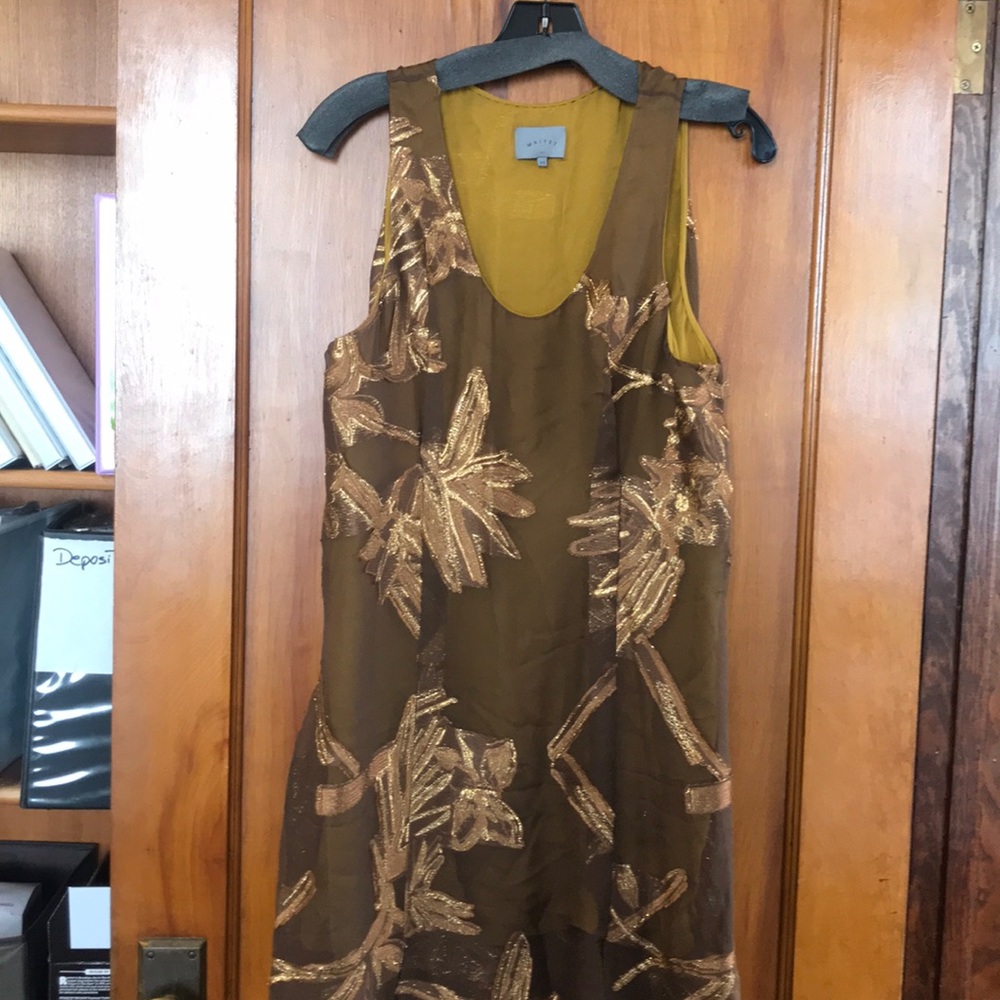 Long Sleeveless dress